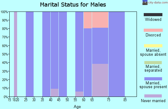 Zip code 14769 marital status for males
