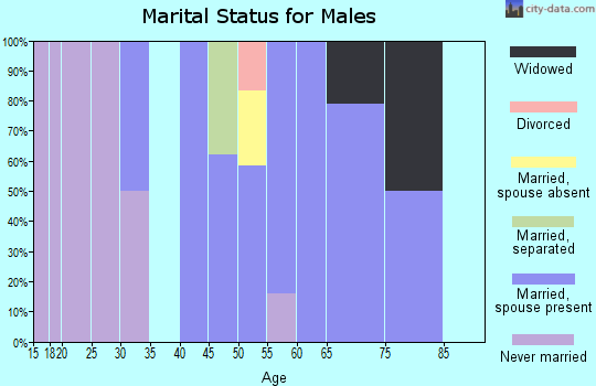 Zip code 14777 marital status for males