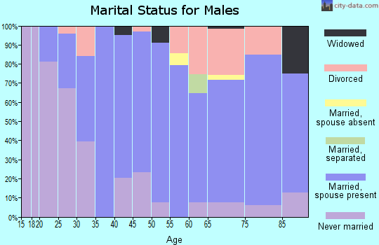 Zip code 14781 marital status for males