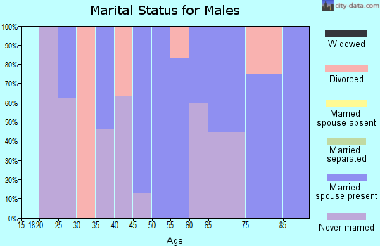Zip code 14783 marital status for males