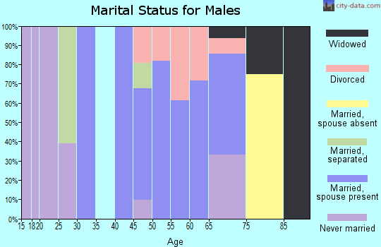 Zip code 14784 marital status for males