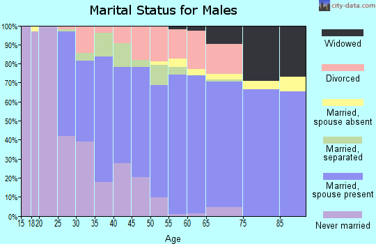 Zip code 14801 marital status for males