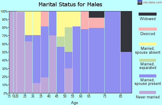 Zip code 14802 marital status for males