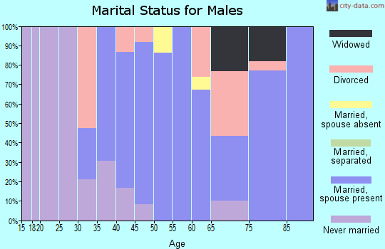 Zip code 14803 marital status for males