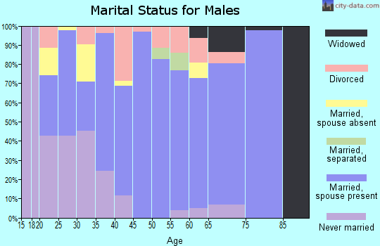 Zip code 14804 marital status for males