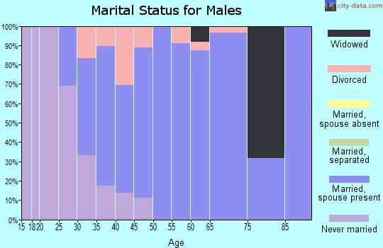 Zip code 14805 marital status for males