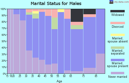 Zip code 14806 marital status for males