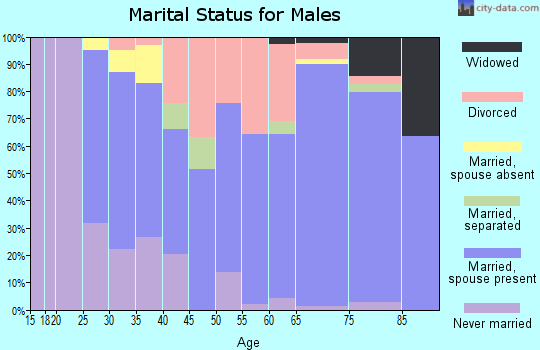 Zip code 14807 marital status for males