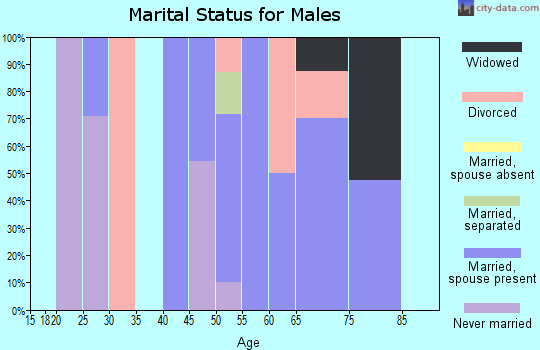 Zip code 14808 marital status for males