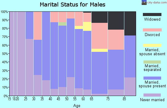 Zip code 14809 marital status for males