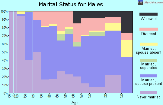 Zip code 14810 marital status for males