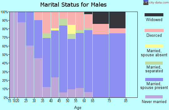 Zip code 14812 marital status for males