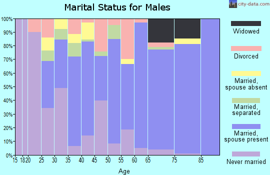 Zip code 14813 marital status for males