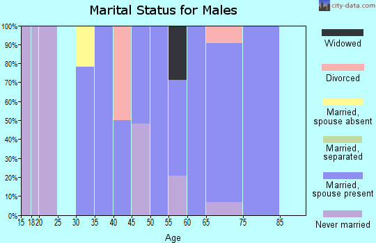 Zip code 14814 marital status for males