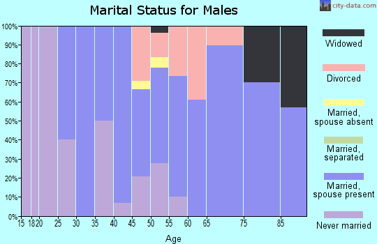 Zip code 14815 marital status for males
