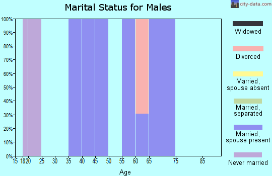 Zip code 14816 marital status for males