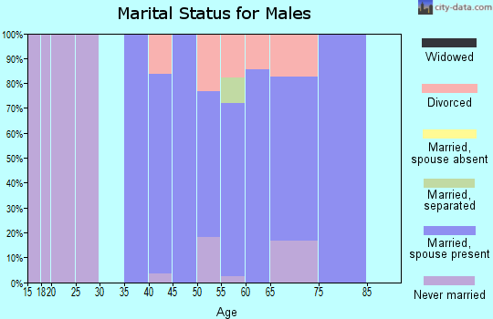 Zip code 14817 marital status for males