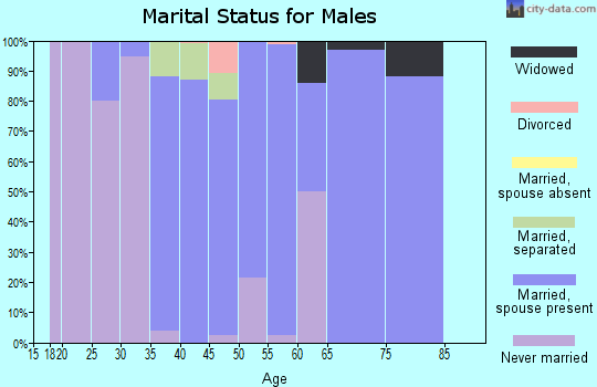 Zip code 14818 marital status for males
