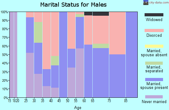 Zip code 14819 marital status for males