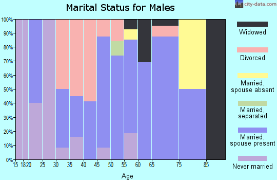 Zip code 14820 marital status for males