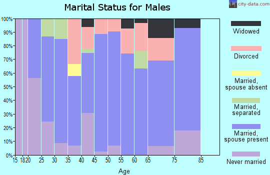 Zip code 14821 marital status for males