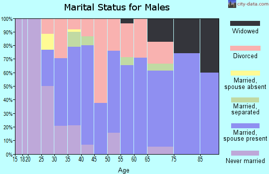 Zip code 14822 marital status for males