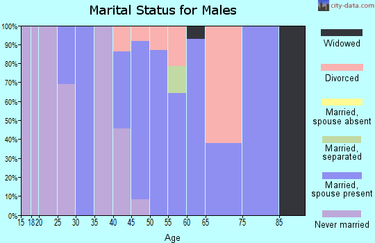 Zip code 14824 marital status for males