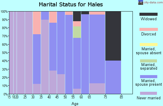 Zip code 14836 marital status for males