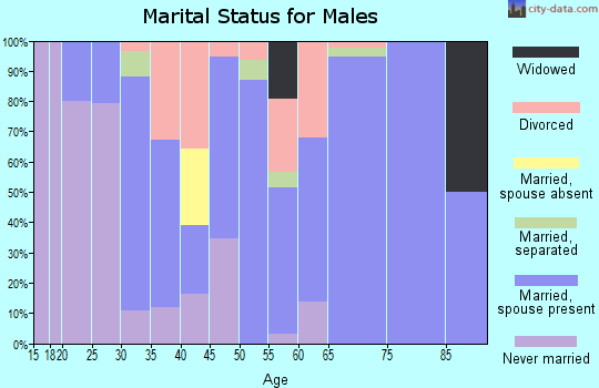 Zip code 14838 marital status for males
