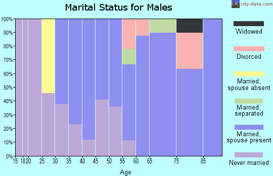 Zip code 14839 marital status for males