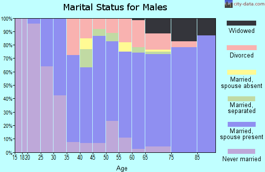 Zip code 14840 marital status for males