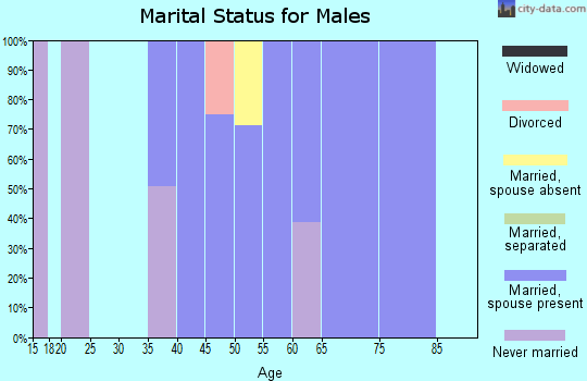 Zip code 14841 marital status for males