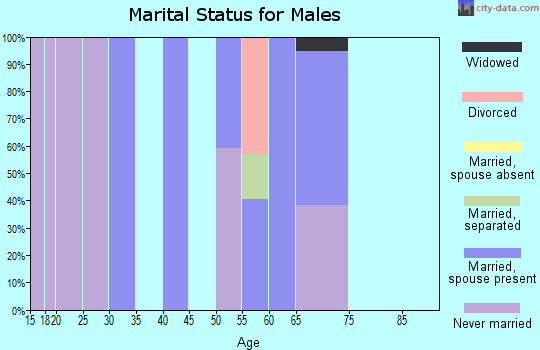 Zip code 14842 marital status for males