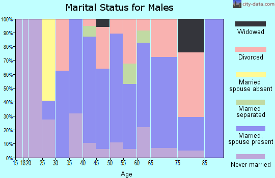 Zip code 14846 marital status for males