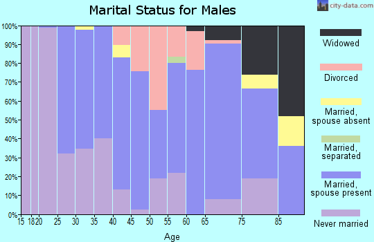 Zip code 14847 marital status for males