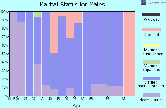 Zip code 14855 marital status for males