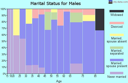 Zip code 14858 marital status for males