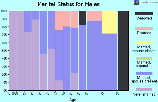 Zip code 14859 marital status for males