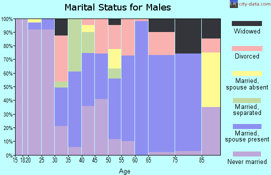 Zip code 14865 marital status for males