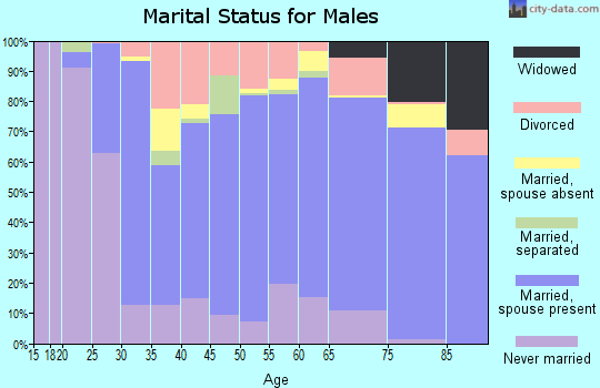 Zip code 14870 marital status for males