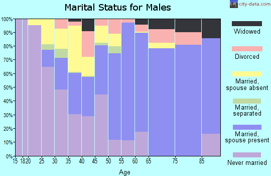 Zip code 14871 marital status for males