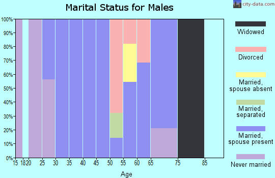 Zip code 14872 marital status for males