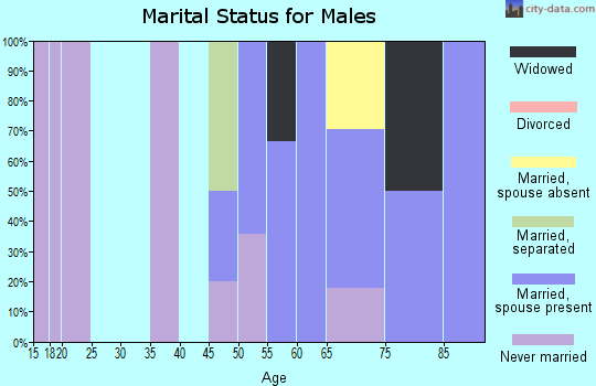 Zip code 14874 marital status for males