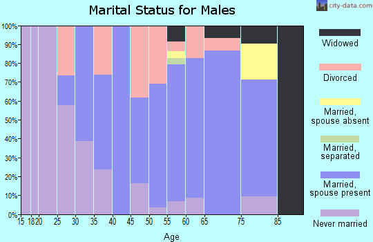 Zip code 14880 marital status for males