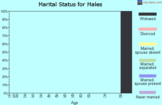 Zip code 14881 marital status for males