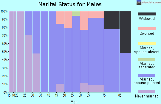 Zip code 14882 marital status for males