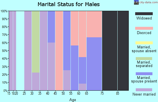 Zip code 14884 marital status for males