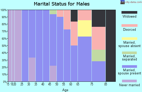 Zip code 14885 marital status for males
