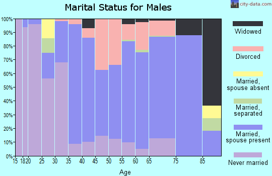 Zip code 14886 marital status for males