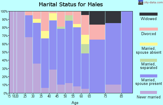 Zip code 14889 marital status for males